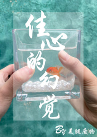 佳心的幻觉(1v1 h)(小姐文)